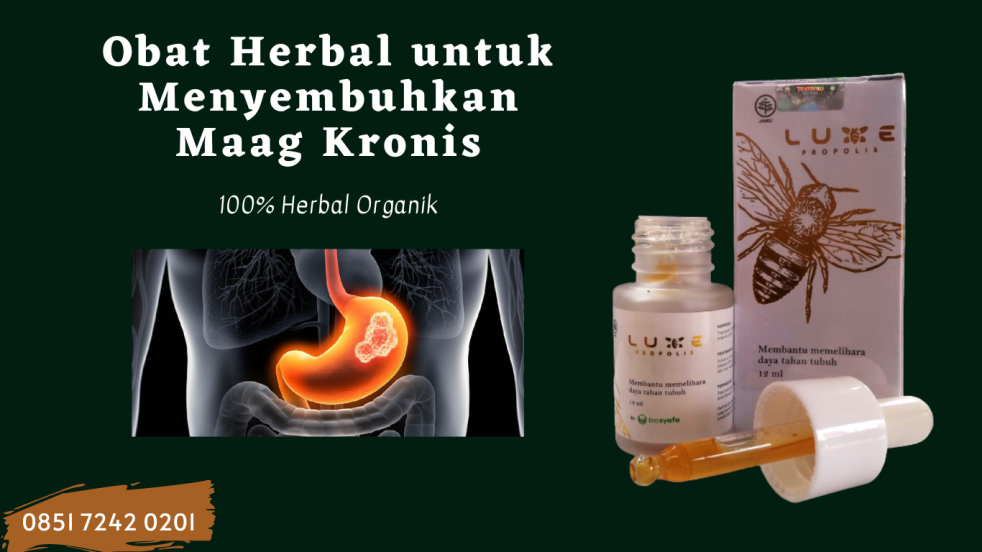 obat herbal untuk asam lambung, obat herbal untuk maag kronis, obat herbal untuk gastritis